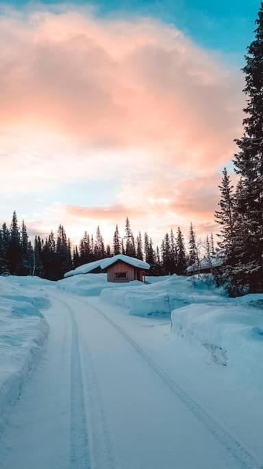 Cozy Mountain Cottage With Beautiful Views & Sauna Beitostolen Extérieur photo