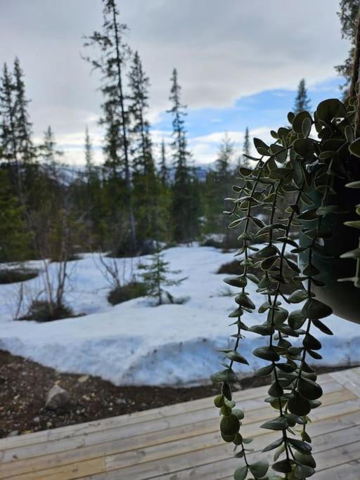 Cozy Mountain Cottage With Beautiful Views & Sauna Beitostolen Extérieur photo